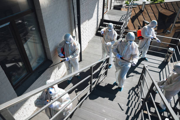 Professional Mold Removal in Cloverdale, IN