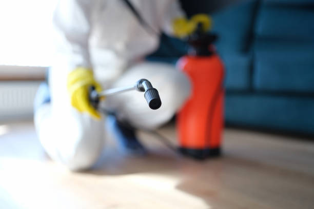 Best Forensic Mold Investigation  in Cloverdale, IN