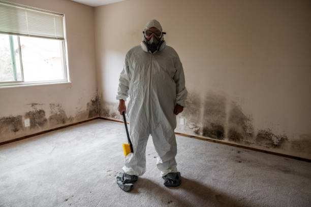 Best Biohazard Mold Removal  in Cloverdale, IN