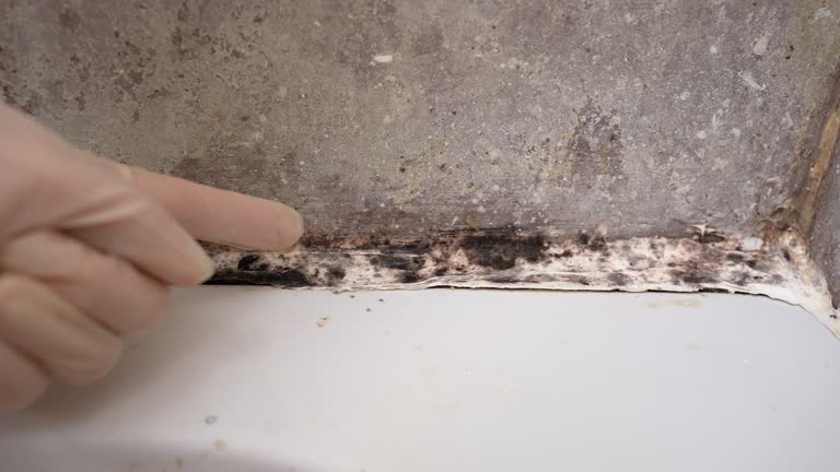 Best Airborne Mold Testing  in Cloverdale, IN